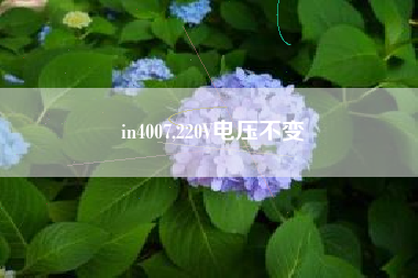in4007,220V电压不变