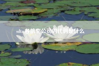 sdtz,各航空公司的代码是什么