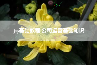 jsp基础教程,公司运营基础知识