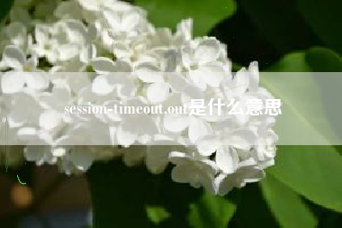 session-timeout,out是什么意思