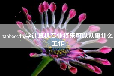 taobaocdn,学计算机专业将来可以从事什么工作