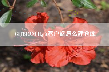 GITBRANCH,git客户端怎么建仓库
