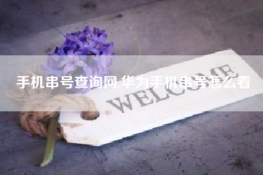 手机串号查询网,华为手机串号怎么看