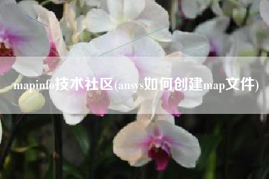 mapinfo技术社区(ansys如何创建map文件)