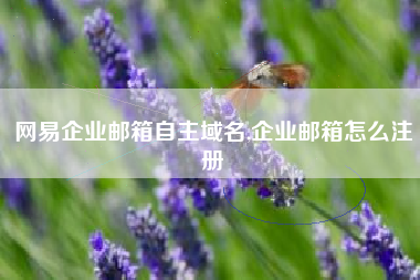 网易企业邮箱自主域名,企业邮箱怎么注册