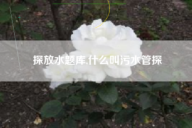 探放水题库,什么叫污水管探