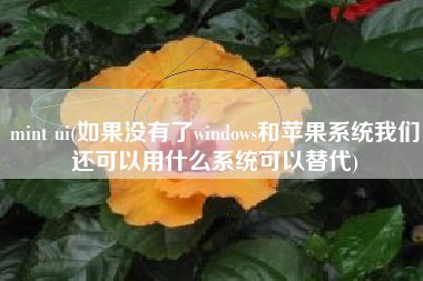 mint ui(如果没有了windows和苹果系统我们还可以用什么系统可以替代)