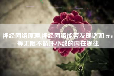 神经网络原理,神经网络能否发现诸如πe等无限不循环小数的内在规律