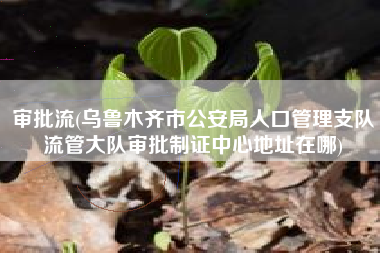 审批流(乌鲁木齐市公安局人口管理支队流管大队审批制证中心地址在哪)