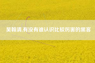 吴翰清,有没有谁认识比较厉害的黑客