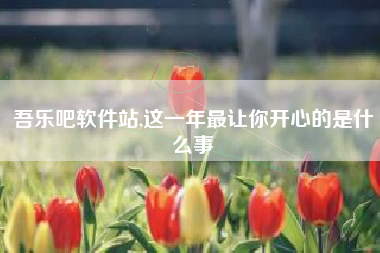 吾乐吧软件站,这一年最让你开心的是什么事