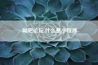 呦吧论坛,什么是小程序