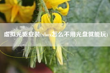 虚拟光驱安装(xbox怎么不用光盘就能玩)