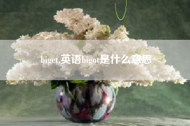 biget,英语bigot是什么意思