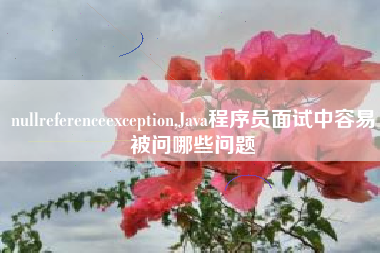 nullreferenceexception,Java程序员面试中容易被问哪些问题