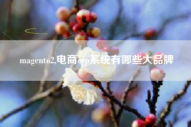 magento2,电商erp系统有哪些大品牌