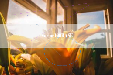 xor,or100BASE