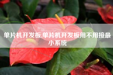 单片机开发板,单片机开发板用不用接最小系统