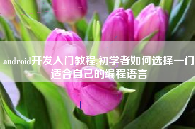 android开发入门教程,初学者如何选择一门适合自己的编程语言