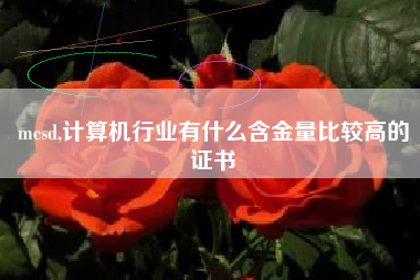 mcsd,计算机行业有什么含金量比较高的证书