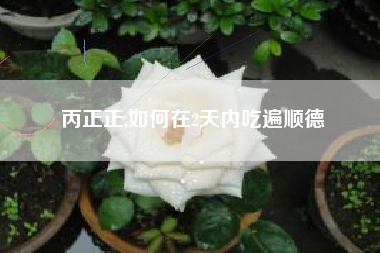 丙正正,如何在2天内吃遍顺德
