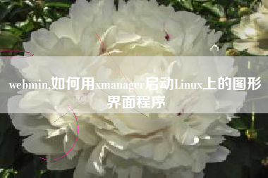 webmin,如何用xmanager启动Linux上的图形界面程序