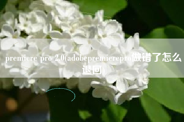 premiere pro 2.0(adobepremierepro做错了怎么退回)