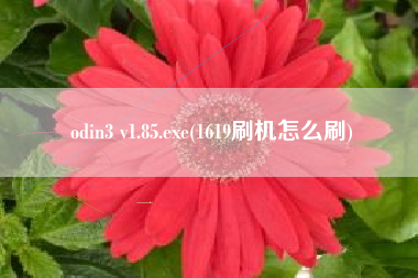 odin3 v1.85.exe(1619刷机怎么刷)