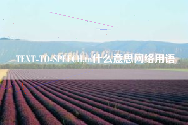 TEXT-TO-SPEECH,tn什么意思网络用语
