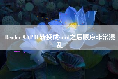 Reader 9.0,PDF转换成word之后顺序非常混乱