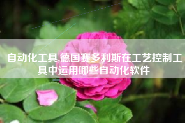 自动化工具,德国赛多利斯在工艺控制工具中运用哪些自动化软件
