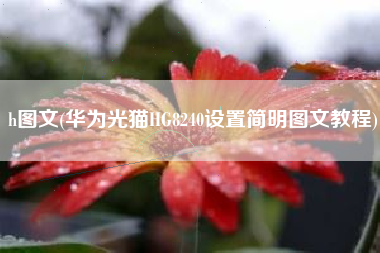 h图文(华为光猫HG8240设置简明图文教程)