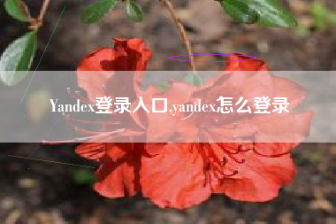 Yandex登录入口,yandex怎么登录