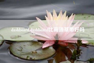 dashboard,dashboard比高通基带好吗