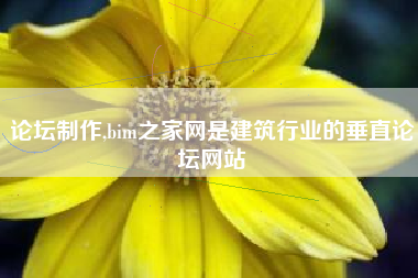 论坛制作,bim之家网是建筑行业的垂直论坛网站