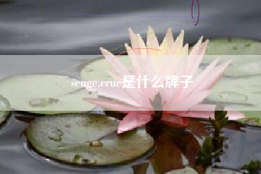 seuge,crue是什么牌子