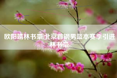 欧阳靖林书豪,北京首钢男篮本赛季引进林书豪