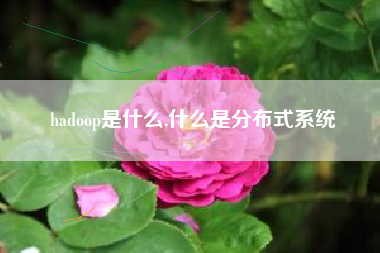 hadoop是什么,什么是分布式系统