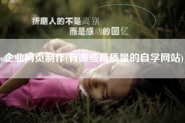企业网页制作(有哪些高质量的自学网站)