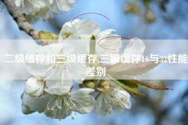 二级缓存和三级缓存,三级缓存16与32性能差别