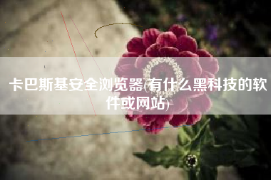 卡巴斯基安全浏览器(有什么黑科技的软件或网站)