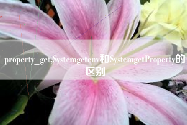 property_get,Systemgetenv和SystemgetProperty的区别