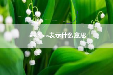 oms,2oms表示什么意思