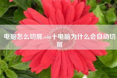电脑怎么切屏,win十电脑为什么会自动切屏