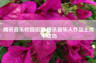 腾讯音乐校园招聘,腾讯音乐人作品上传不成功