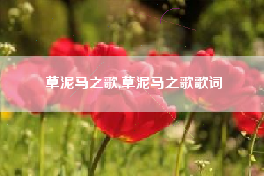 草泥马之歌,草泥马之歌歌词