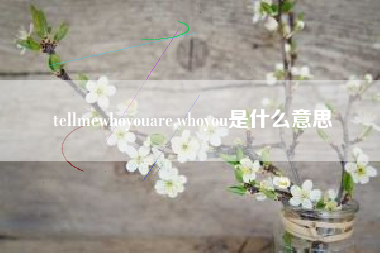 tellmewhoyouare,whoyou是什么意思