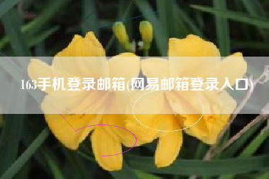 163手机登录邮箱(网易邮箱登录入口)