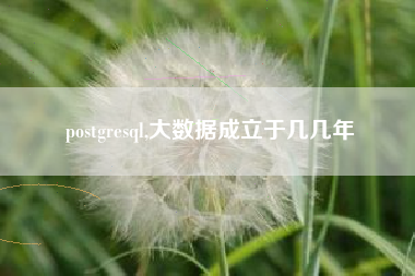 postgresql,大数据成立于几几年