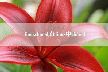 linuxchmod,在linux中chmod